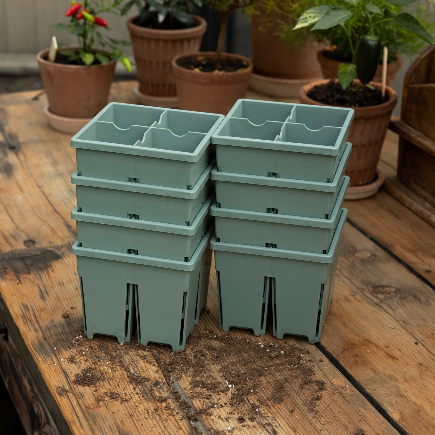 4-Cell Seed Starter Set