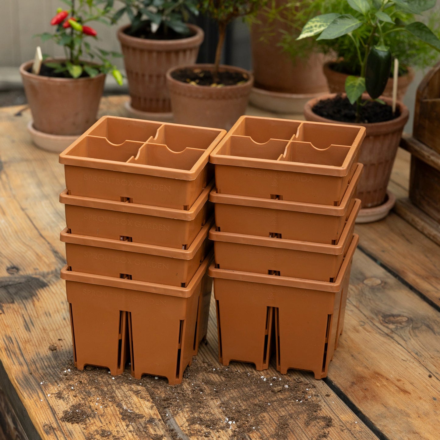 4-Cell Seed Starter Set