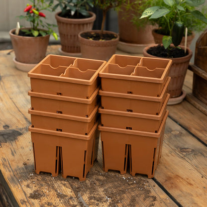 4-Cell Seed Starter Set