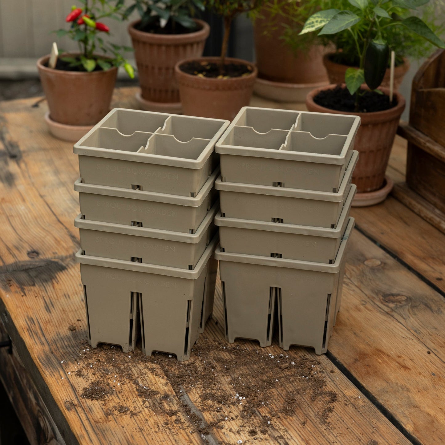 4-Cell Seed Starter Set