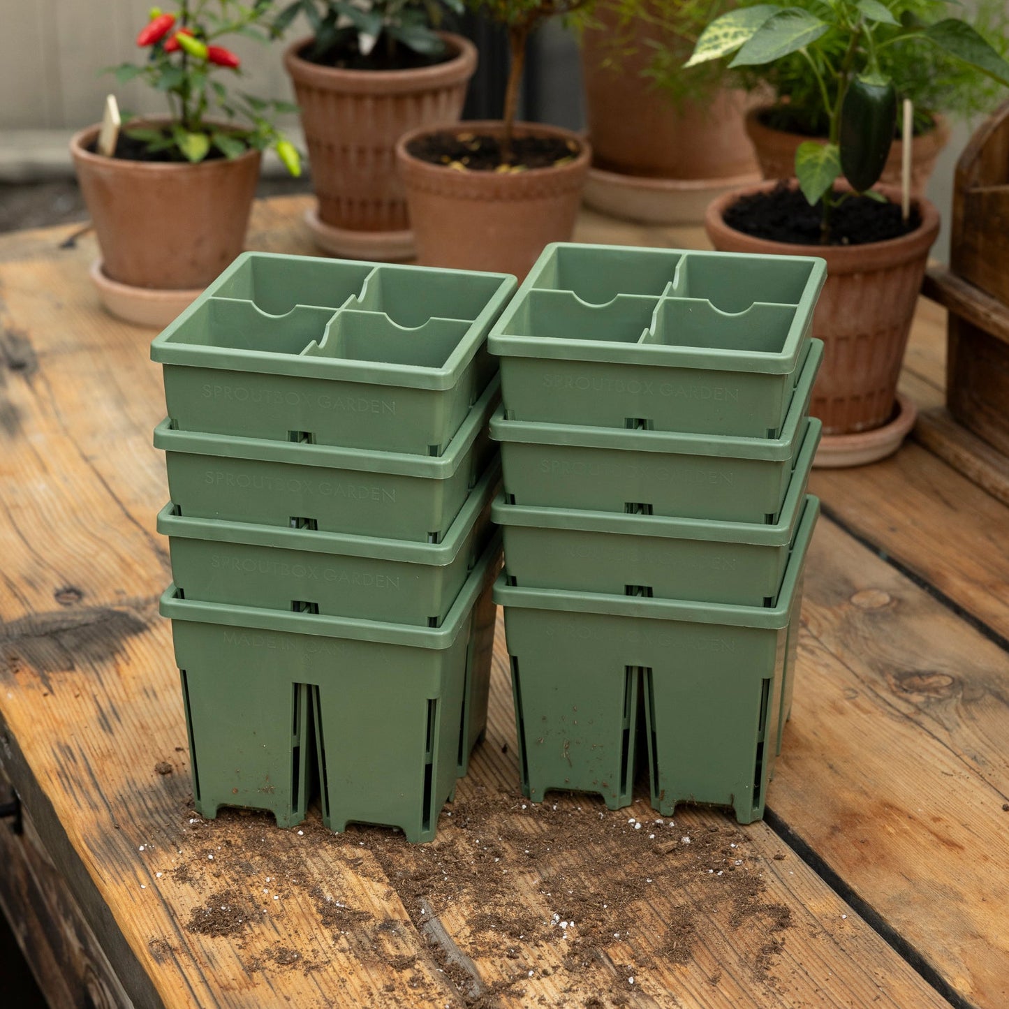 4-Cell Seed Starter Set