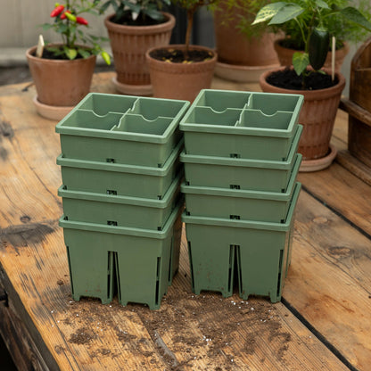 4-Cell Seed Starter Set