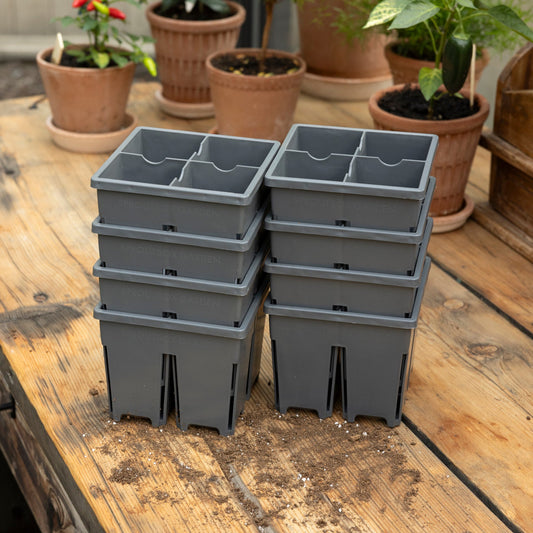 4-Cell Seed Starter Set