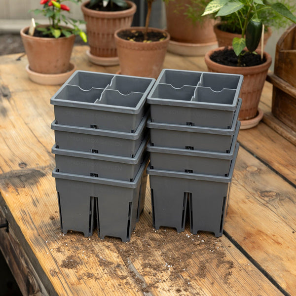lejoy garden seed sprouter tray 4-Cell Seed Starter Set – Sproutbox Garden