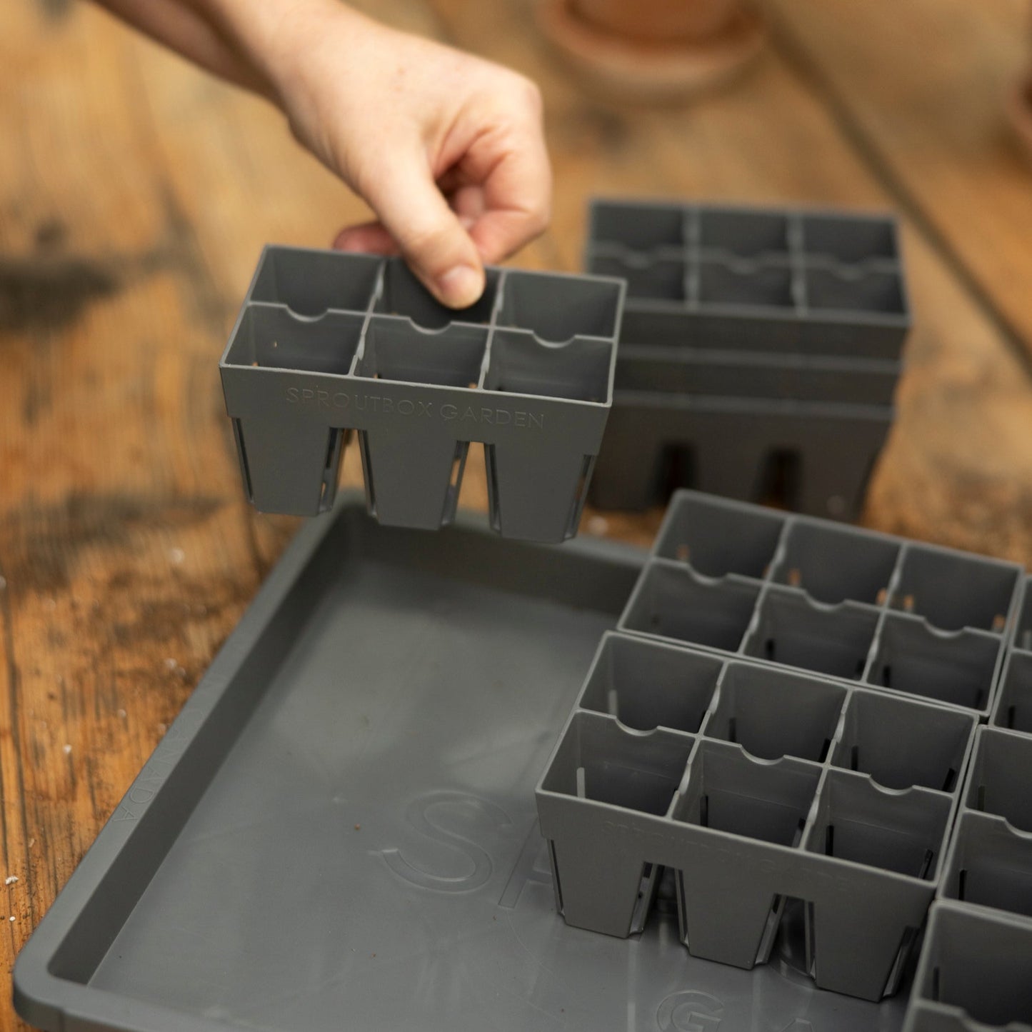 6-Cell Seed Starter Set