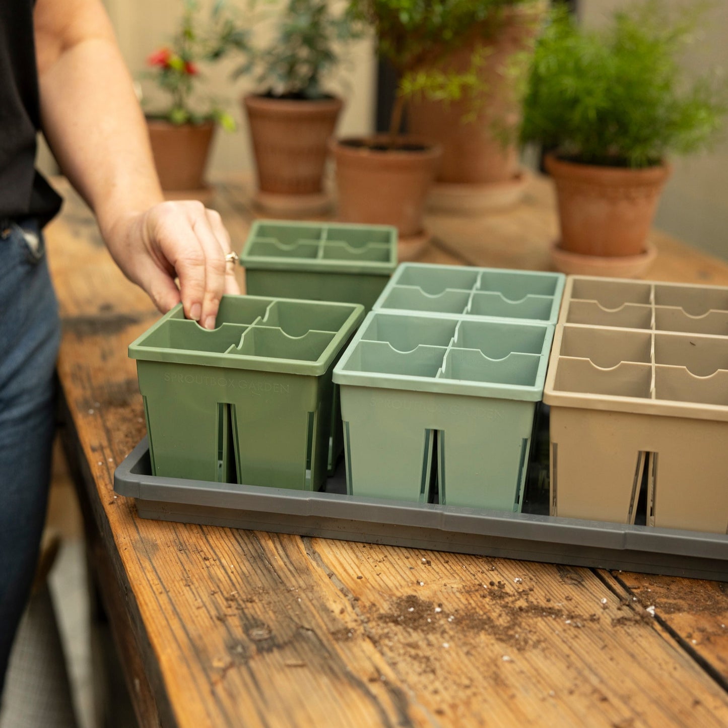 4-Cell Seed Starter Set