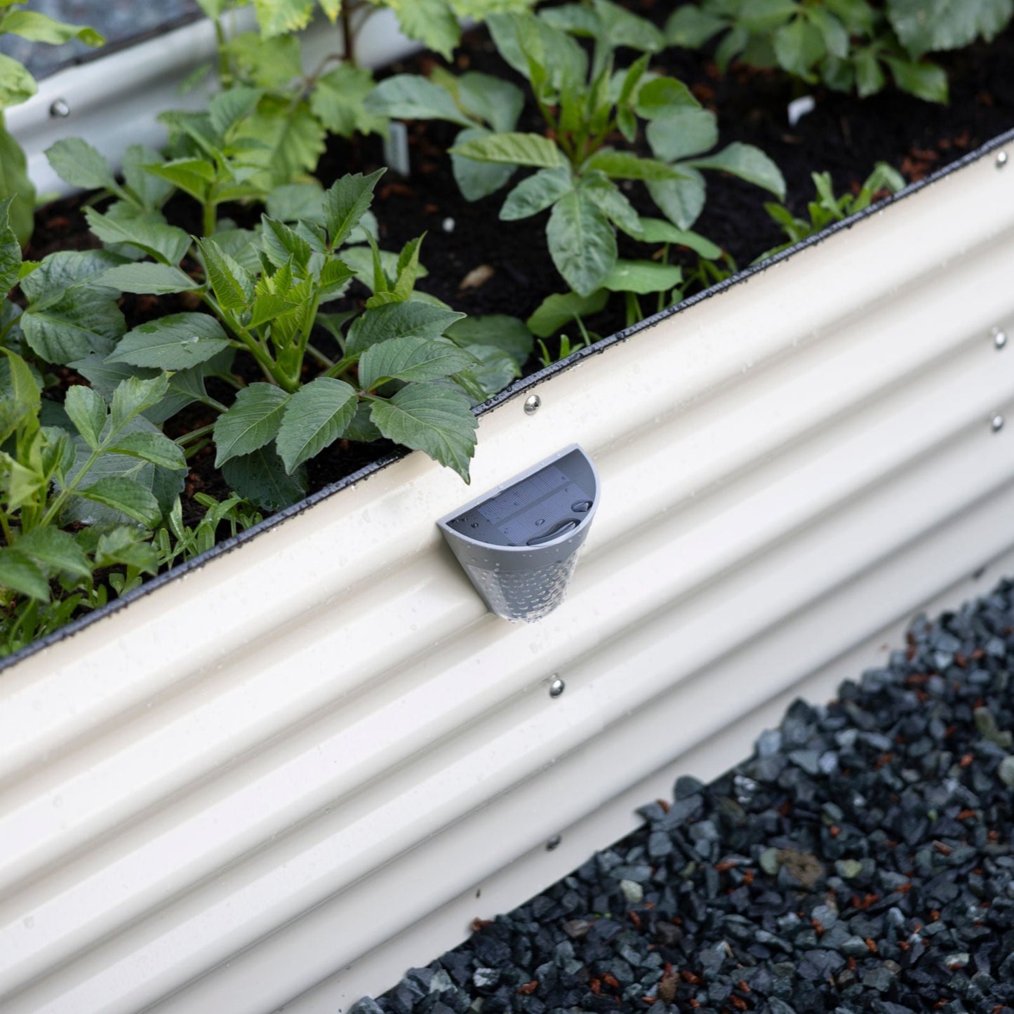 Solar LED Garden Lights