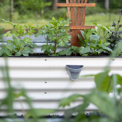 Solar LED Garden Lights