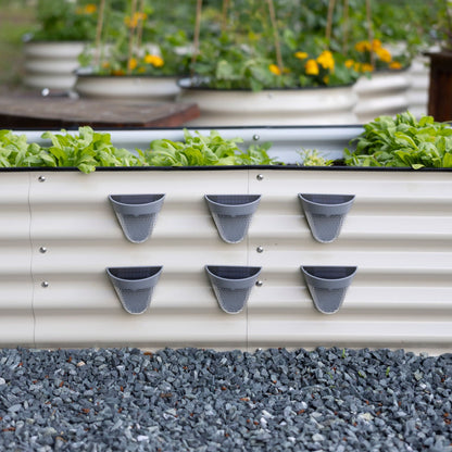 Solar LED Garden Lights