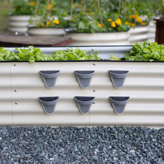 Solar LED Garden Lights