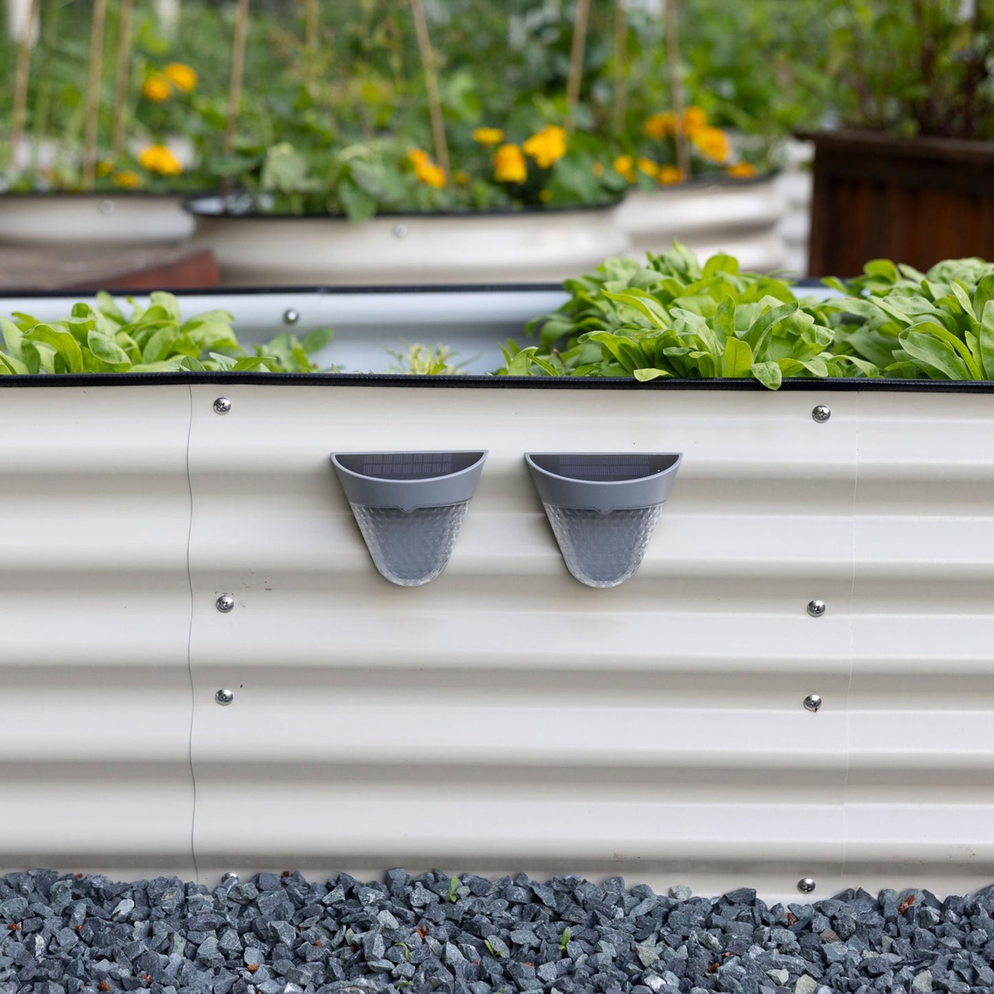 Solar LED Garden Lights