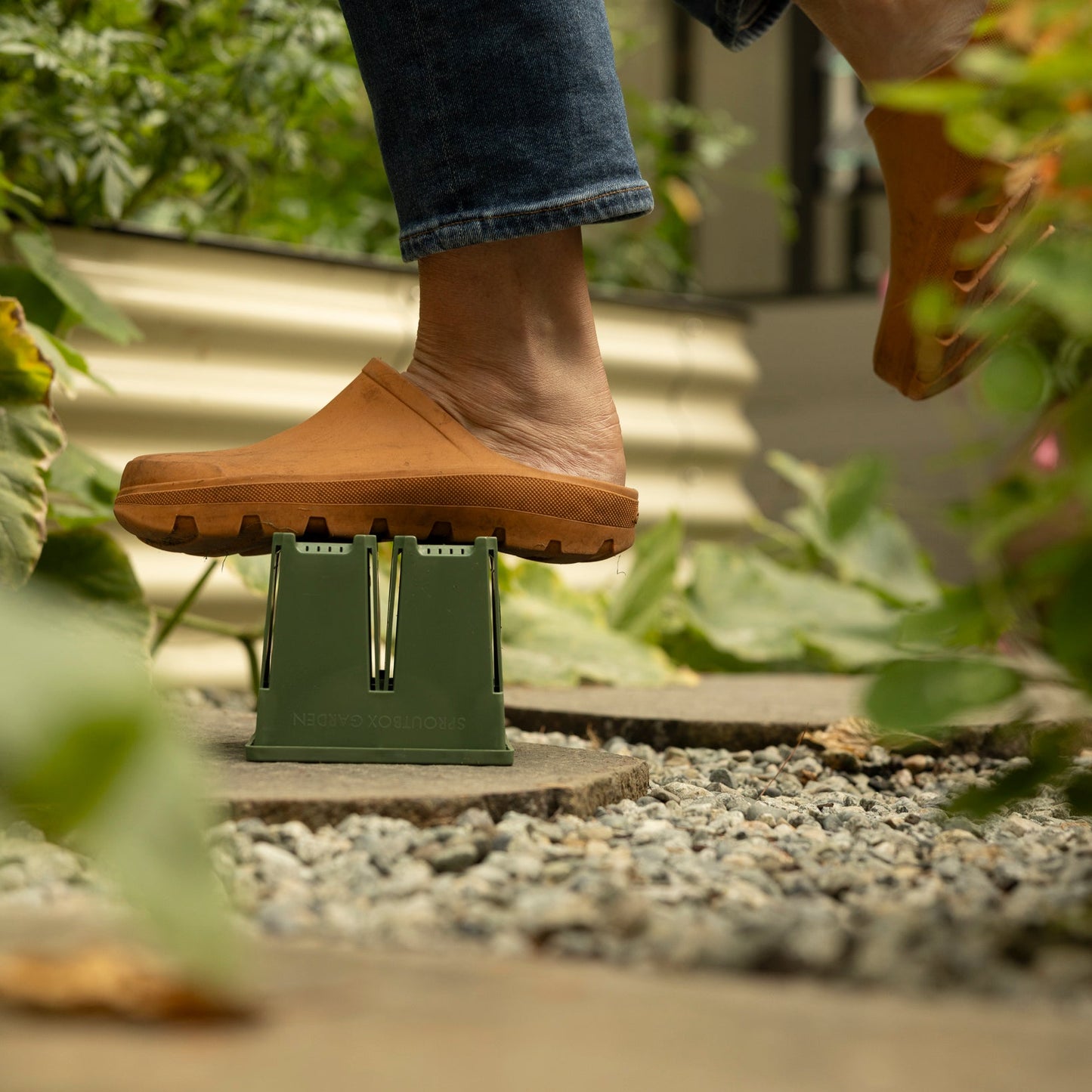 4-Cell Seed Starter Set