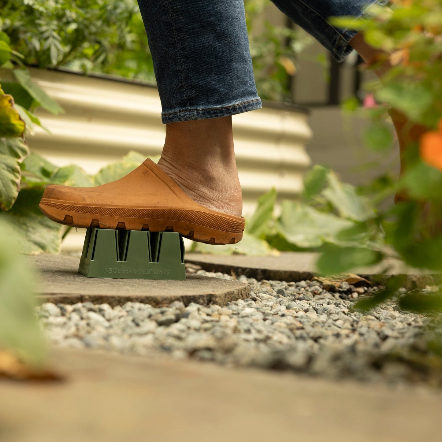 6-Cell Seed Starter Set