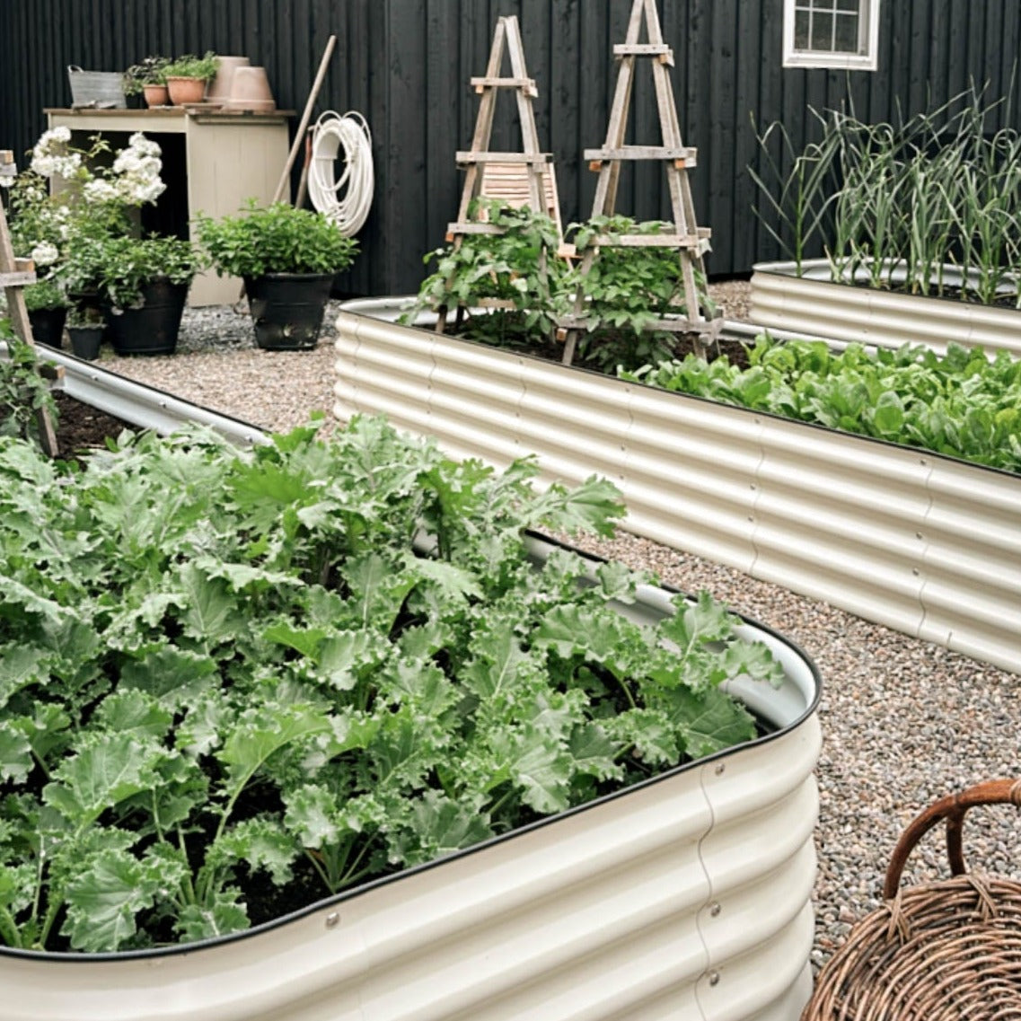 Modular raised garden bed 17" tall modular garden beds with vegetables in Canada