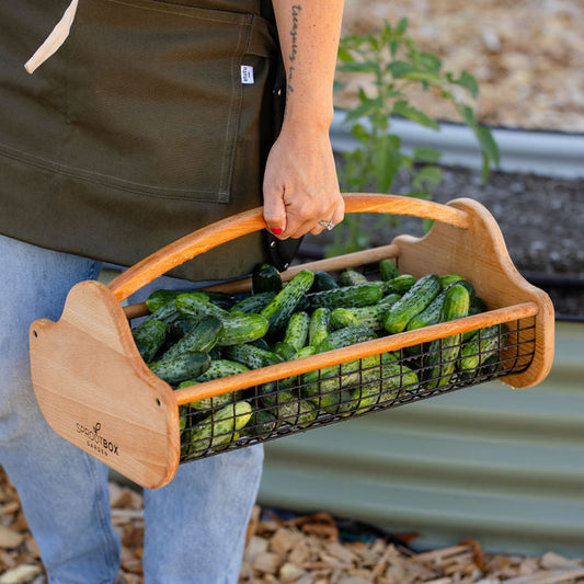 Garden Hod Sproutbox Garden