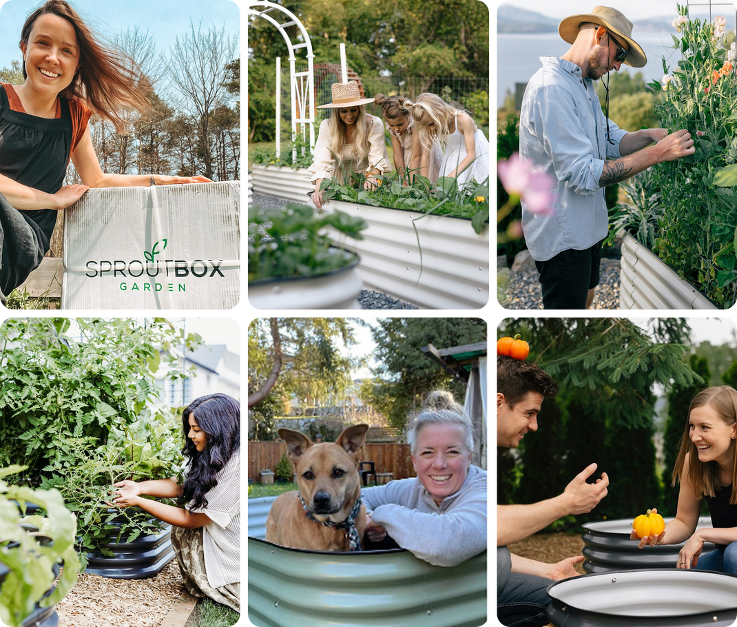 Raised Garden Beds Canada | Metal Garden Boxes | Sproutbox Garden