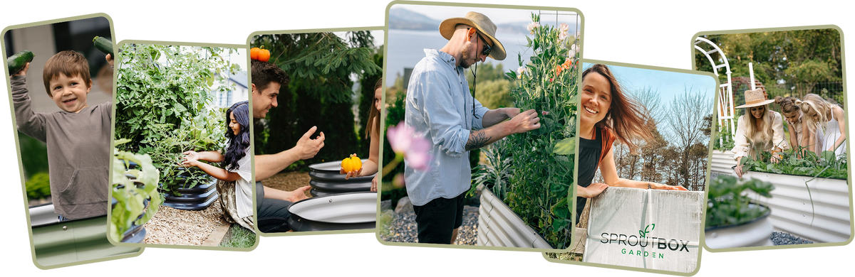 Wholesale page – Sproutbox Garden