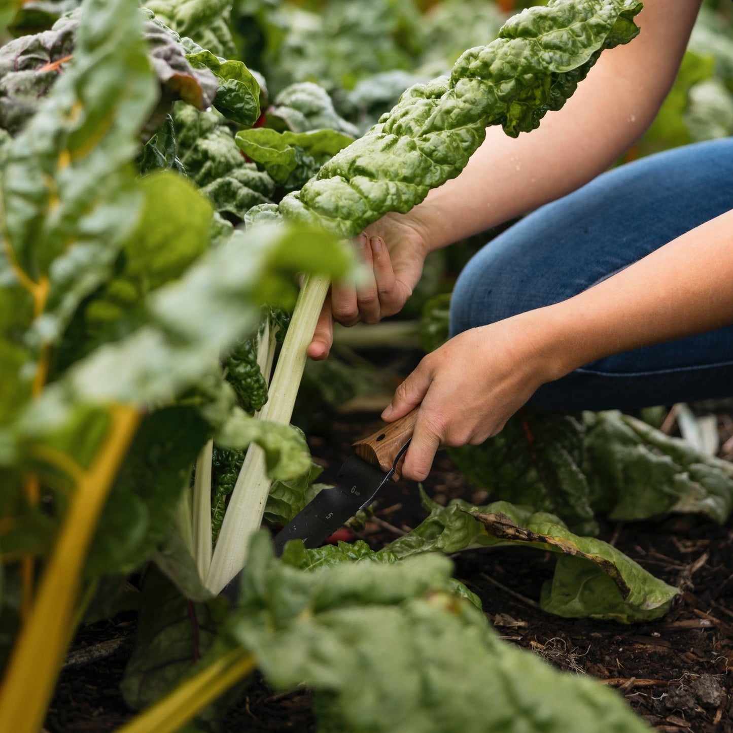 All-In-One Gardening Toolkit