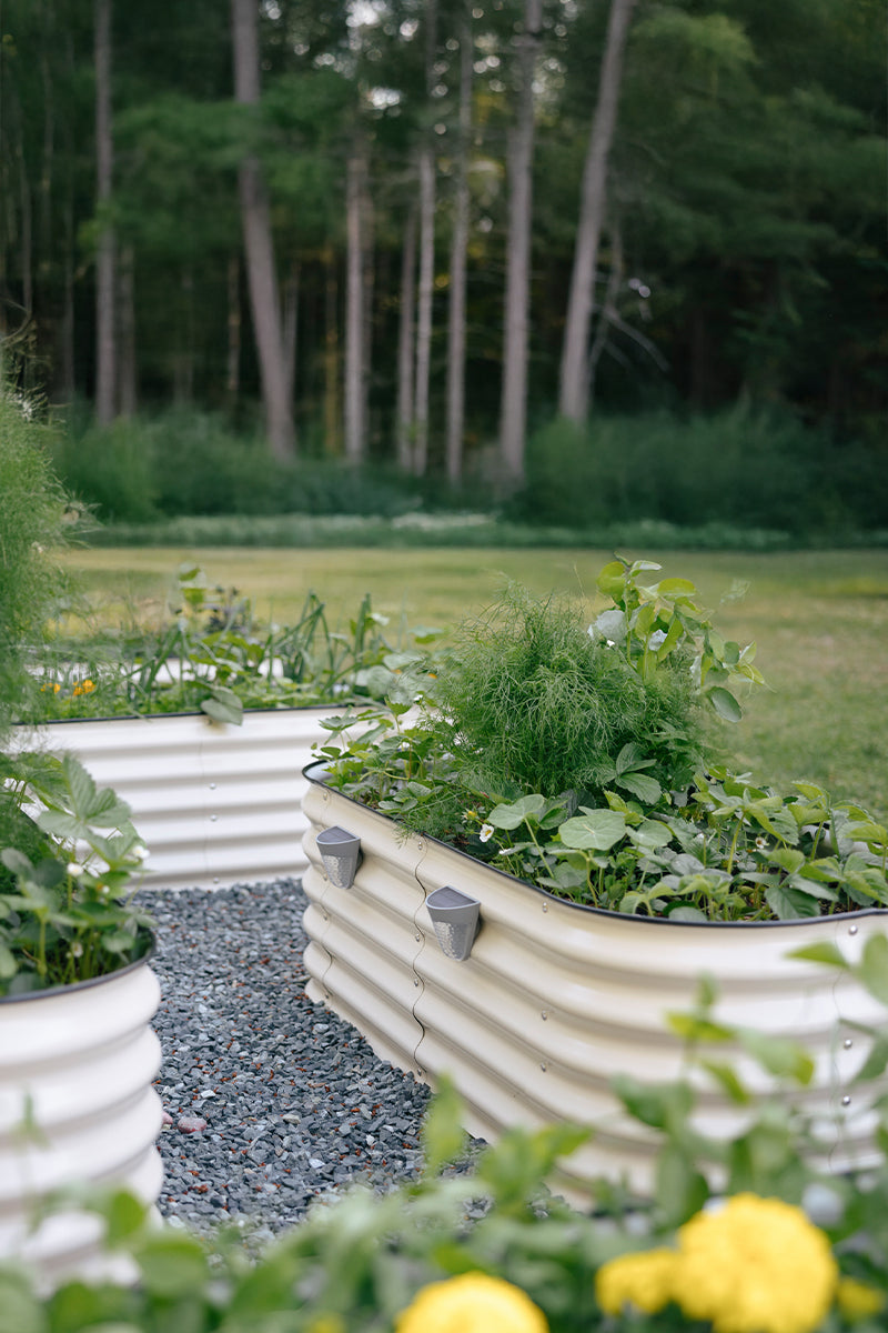 Raised Garden Beds Canada | Metal Garden Boxes | Sproutbox Garden