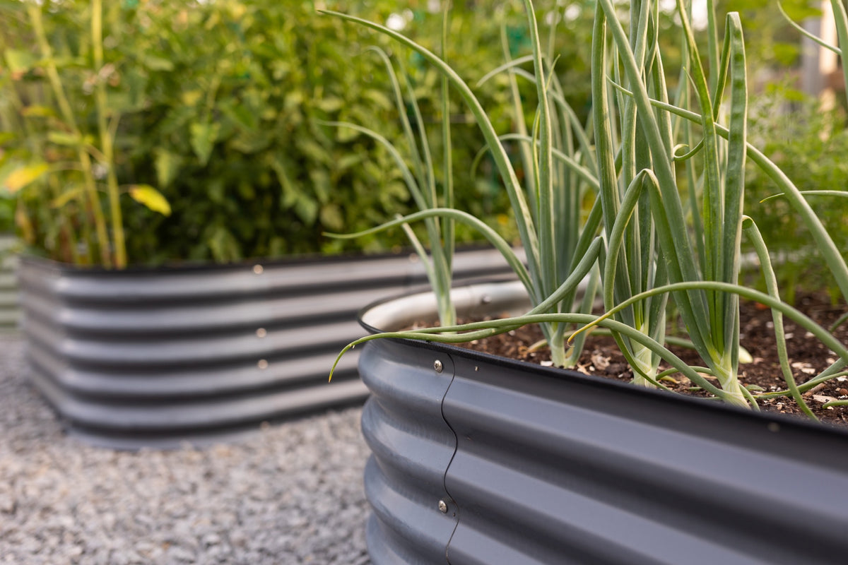 Sproutbox Difference – Sproutbox Garden