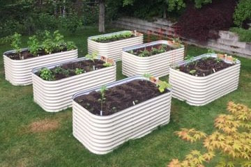 Buy Metal Raised Garden Beds Locally in British Columbia Canada ...