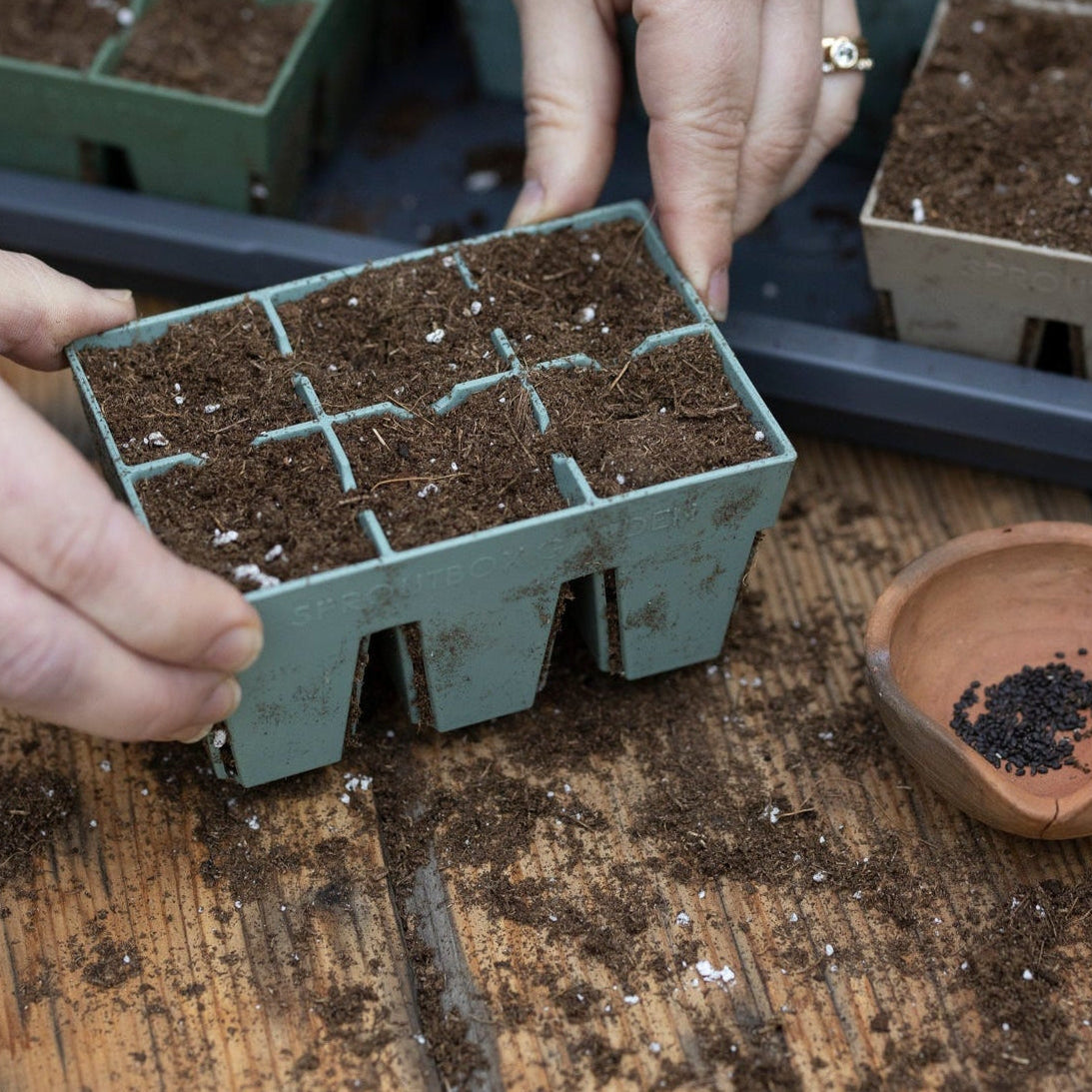 Person handling small seedling trays on a wooden surface