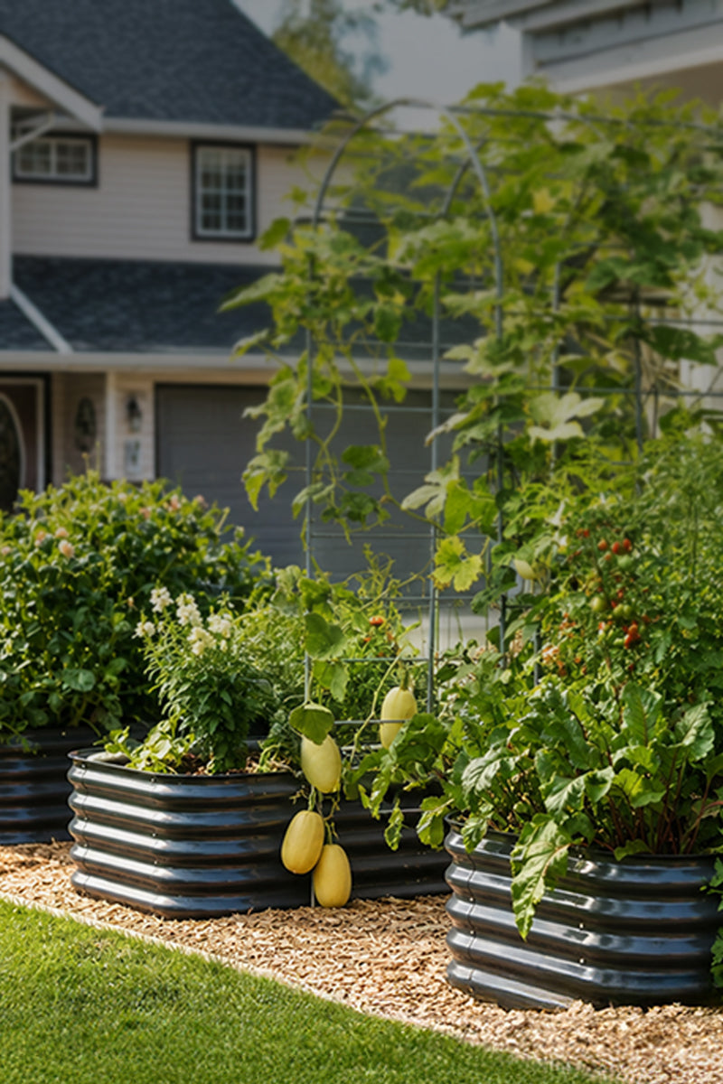 Raised Garden Beds Canada | Metal Garden Boxes | Sproutbox Garden