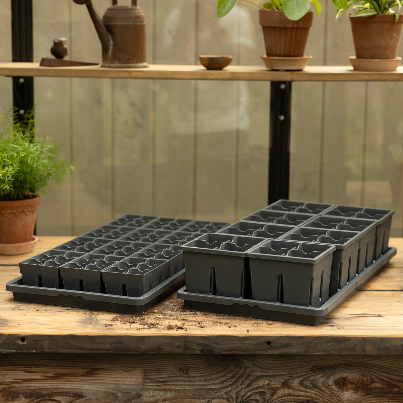 Raised Garden Beds Canada | Metal Garden Boxes | Sproutbox Garden