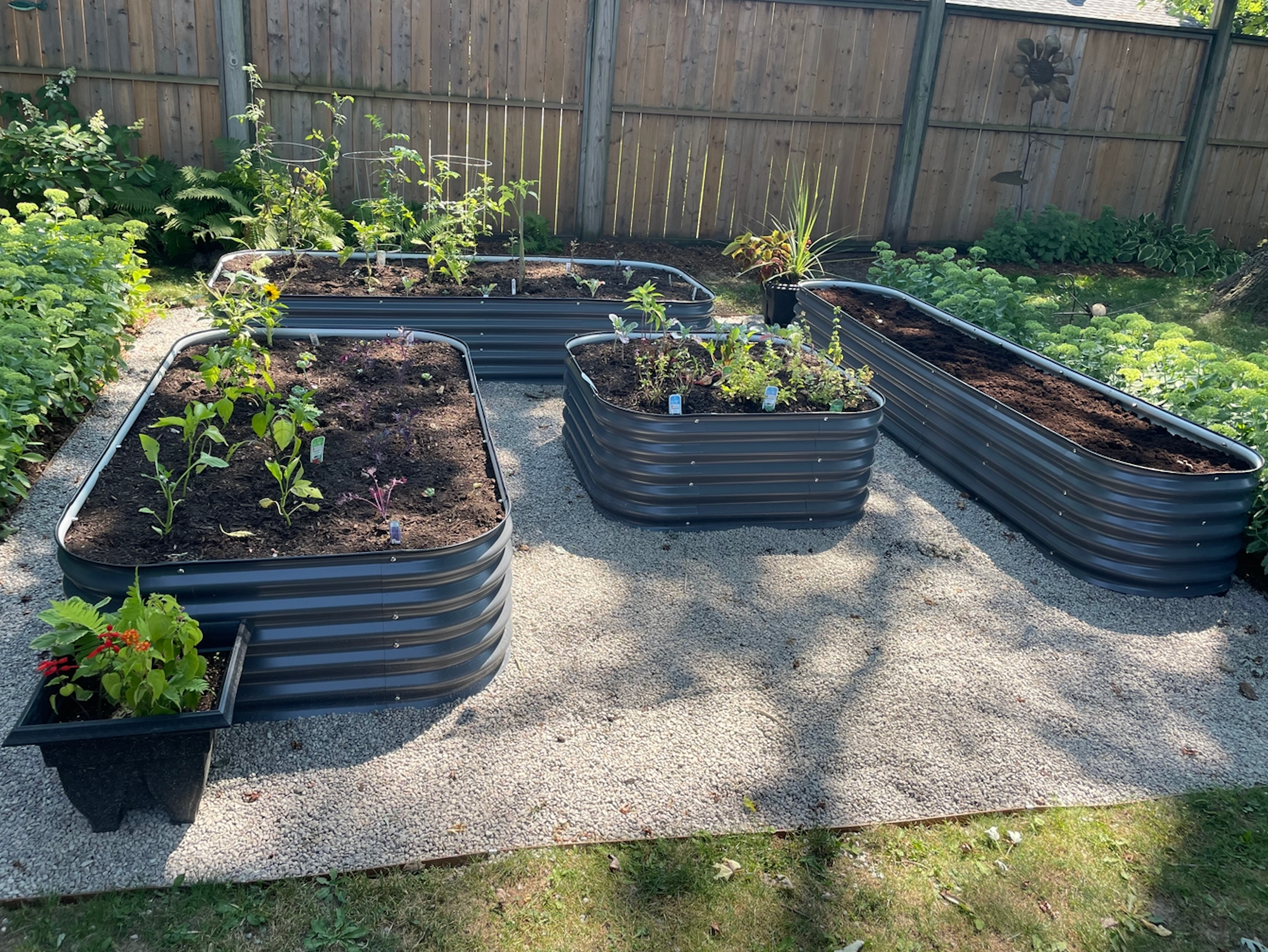 Raised Garden Beds Canada | Metal Garden Boxes | Sproutbox Garden