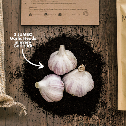 Mind and Soil Garlic Kit