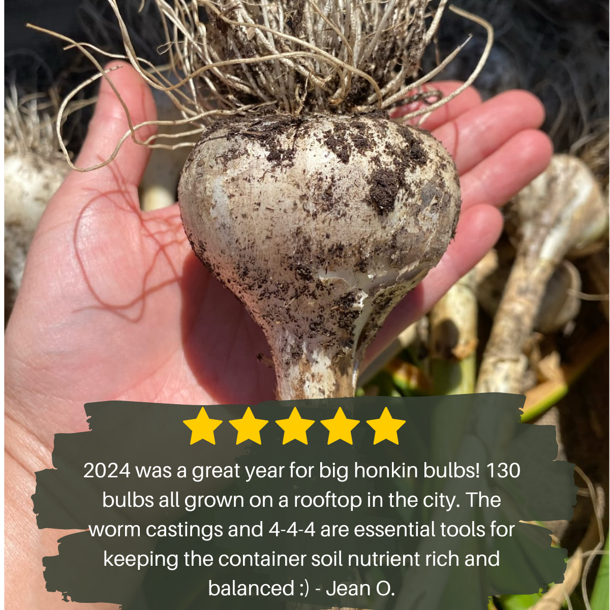 Mind and Soil Garlic Kit
