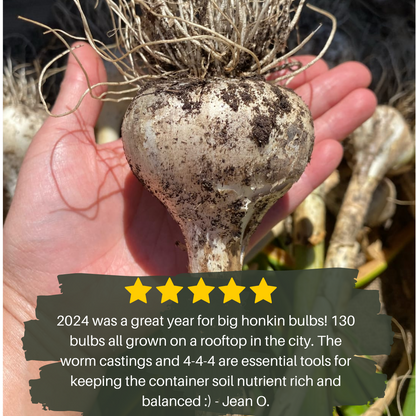 Mind and Soil Garlic Kit