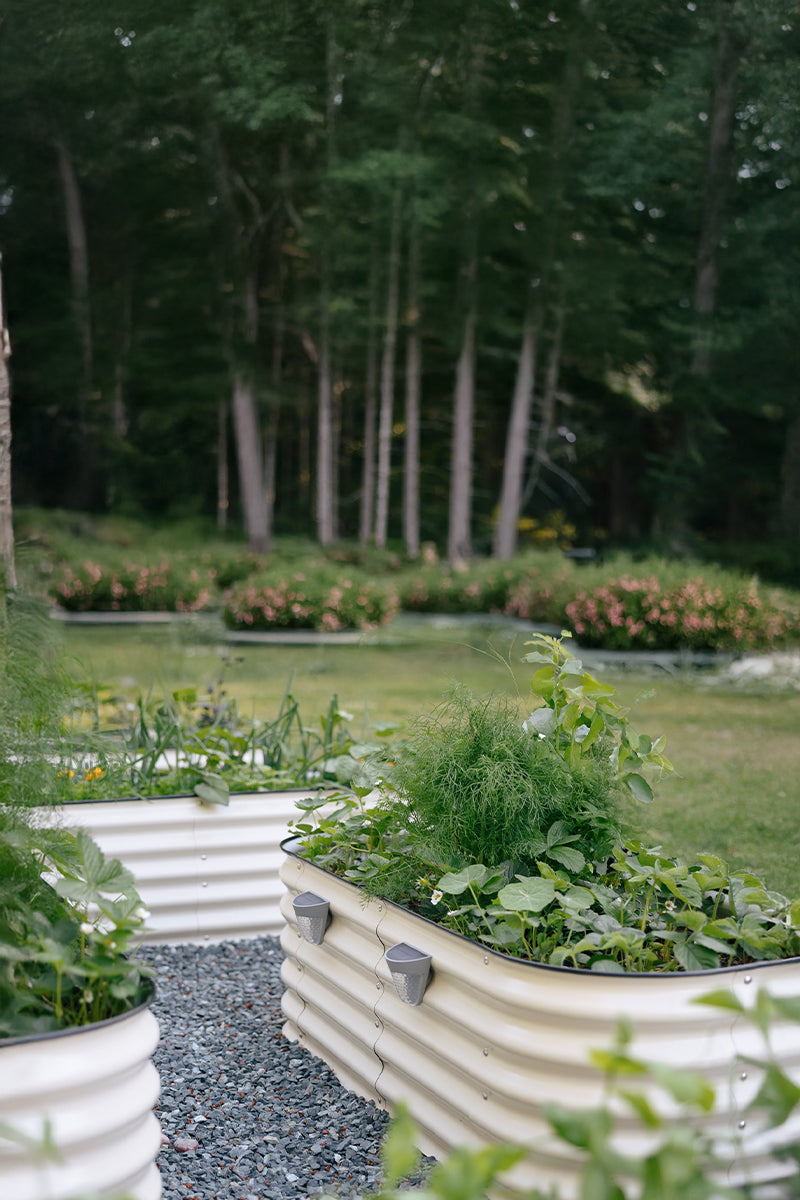 Raised Garden Beds Canada | Metal Garden Boxes | Sproutbox Garden