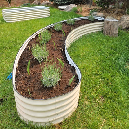 17" Crescent Curved Raised Garden Bed  with vegetation and soil in Canada