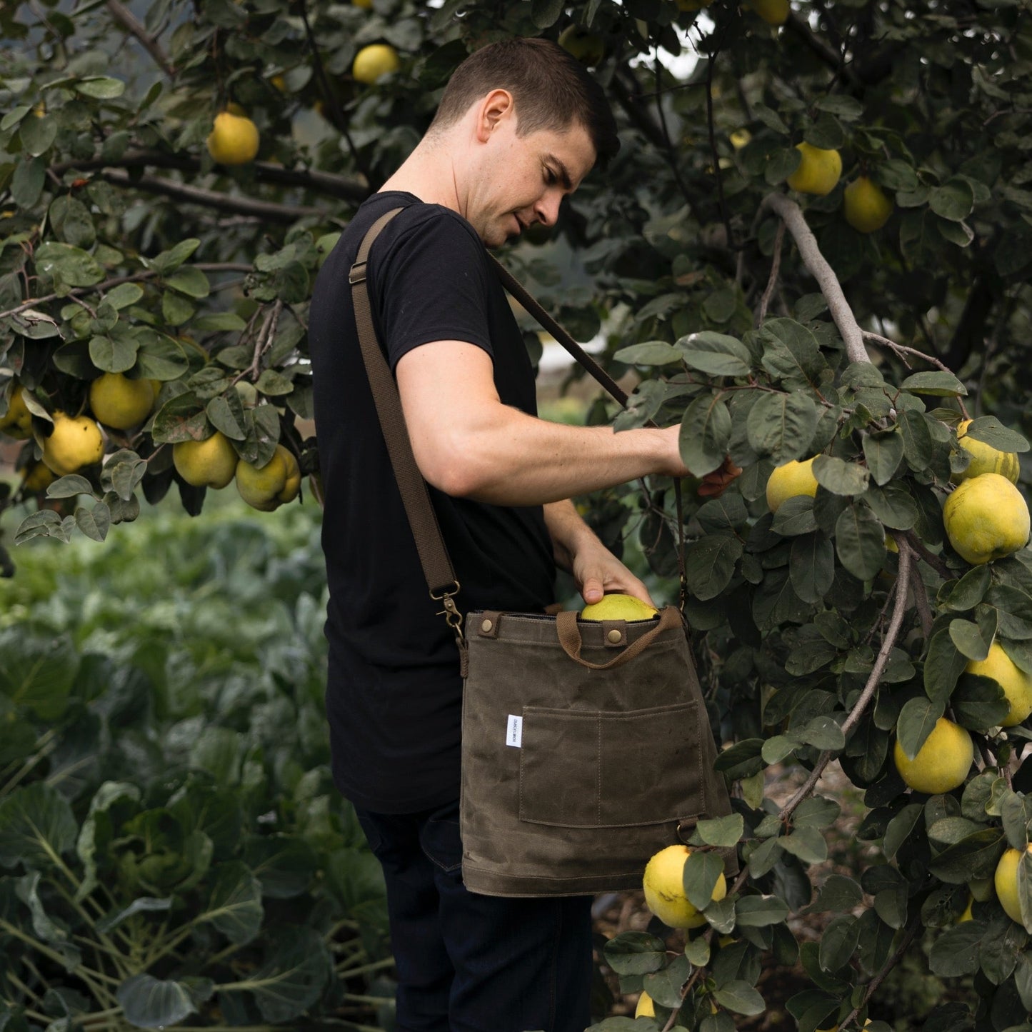 Gardening backpack in Canada