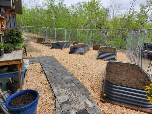 Raised Garden Beds Canada | Metal Garden Boxes | Sproutbox Garden