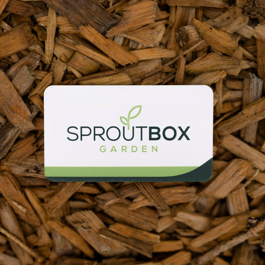 raised garden bed, raised garden boxes, raised garden beds, garden box, garden boxes, raised planter box, inexpensive raised garden bed ideas, flower bed, garden beds, raised garden, raised bed garden, raised garden bed canada, vegetable garden ideas, raised beds, elevated garden beds, metal planters, metal planter, harvest garden, raised garden beds metal, planter box canada, raised metal garden beds, galvanized planter, modular garden bed, raised garden bed kit