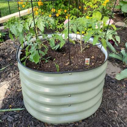 17” Tall Round (Twin Pack)